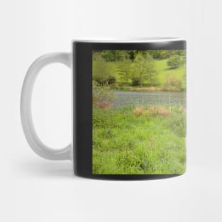 Spring lambs, Cotswolds Mug